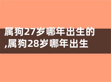 属狗27岁哪年出生的,属狗28岁哪年出生