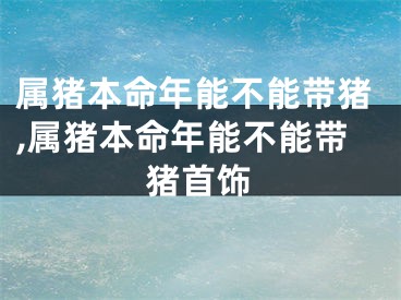 属猪本命年能不能带猪,属猪本命年能不能带猪首饰