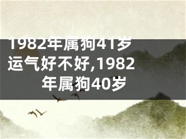 1982年属狗41岁运气好不好,1982年属狗40岁