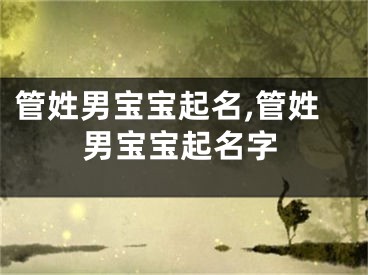 管姓男宝宝起名,管姓男宝宝起名字