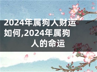 2024年属狗人财运如何,2024年属狗人的命运