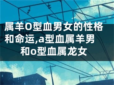 属羊O型血男女的性格和命运,a型血属羊男和o型血属龙女