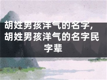 胡姓男孩洋气的名字,胡姓男孩洋气的名字民字辈