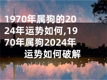 1970年属狗的2024年运势如何,1970年属狗2024年运势如何破解