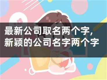 最新公司取名两个字,新颖的公司名字两个字