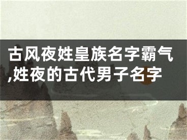 古风夜姓皇族名字霸气,姓夜的古代男子名字