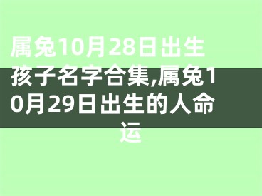 属兔10月28日出生孩子名字合集,属兔10月29日出生的人命运