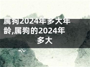属狗2024年多大年龄,属狗的2024年多大