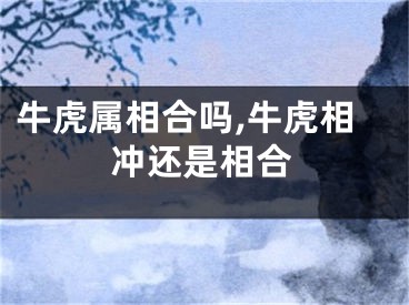 牛虎属相合吗,牛虎相冲还是相合