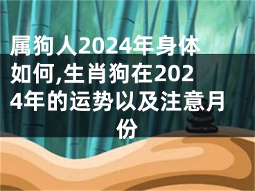 属狗人2024年身体如何,生肖狗在2024年的运势以及注意月份