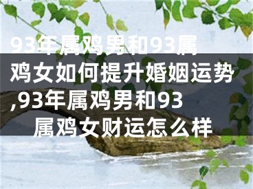 93年属鸡男和93属鸡女如何提升婚姻运势,93年属鸡男和93属鸡女财运怎么样