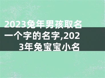 2023兔年男孩取名一个字的名字,2023年兔宝宝小名
