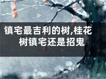 镇宅最吉利的树,桂花树镇宅还是招鬼