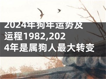 2024年狗年运势及运程1982,2024年是属狗人最大转变