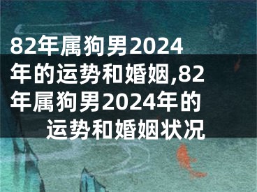 82年属狗男2024年的运势和婚姻,82年属狗男2024年的运势和婚姻状况