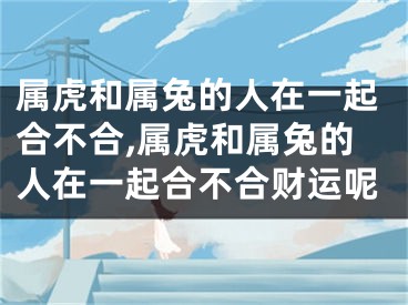 属虎和属兔的人在一起合不合,属虎和属兔的人在一起合不合财运呢