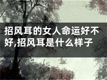 招风耳的女人命运好不好,招风耳是什么样子