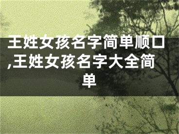 王姓女孩名字简单顺口,王姓女孩名字大全简单