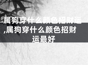 属狗穿什么颜色招财运,属狗穿什么颜色招财运最好