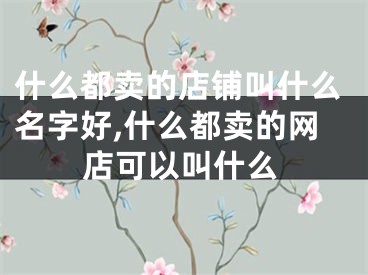 什么都卖的店铺叫什么名字好,什么都卖的网店可以叫什么