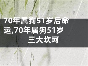 70年属狗51岁后命运,70年属狗51岁三大坎坷