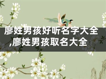廖姓男孩好听名字大全,廖姓男孩取名大全
