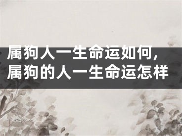 属狗人一生命运如何,属狗的人一生命运怎样