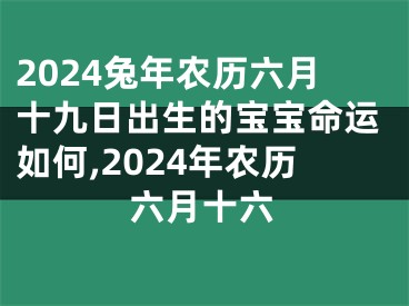 2024兔年农历六月十九日出生的宝宝命运如何,2024年农历六月十六