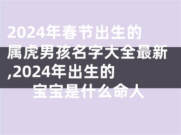 2024年春节出生的属虎男孩名字大全最新,2024年出生的 宝宝是什么命人