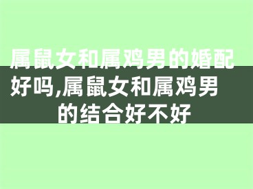 属鼠女和属鸡男的婚配好吗,属鼠女和属鸡男的结合好不好