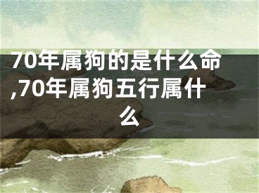 70年属狗的是什么命,70年属狗五行属什么