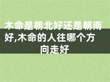 木命是朝北好还是朝南好,木命的人往哪个方向走好