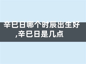 辛巳日哪个时辰出生好,辛巳日是几点