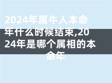 2024年属牛人本命年什么时候结束,2024年是哪个属相的本命年