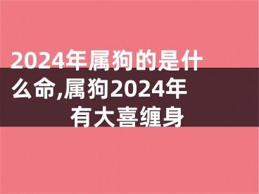 2024年属狗的是什么命,属狗2024年有大喜缠身