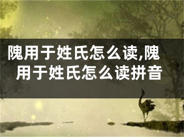隗用于姓氏怎么读,隗用于姓氏怎么读拼音