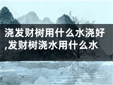 浇发财树用什么水浇好,发财树浇水用什么水