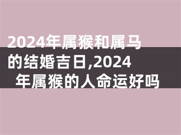 2024年属猴和属马的结婚吉日,2024年属猴的人命运好吗
