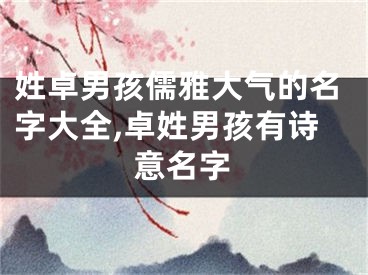 姓卓男孩儒雅大气的名字大全,卓姓男孩有诗意名字