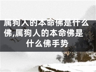 属狗人的本命佛是什么佛,属狗人的本命佛是什么佛手势