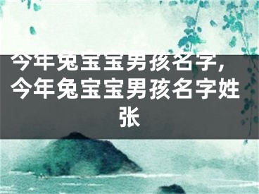 今年兔宝宝男孩名字,今年兔宝宝男孩名字姓张