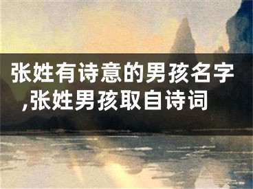 张姓有诗意的男孩名字,张姓男孩取自诗词