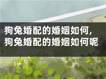 狗兔婚配的婚姻如何,狗兔婚配的婚姻如何呢