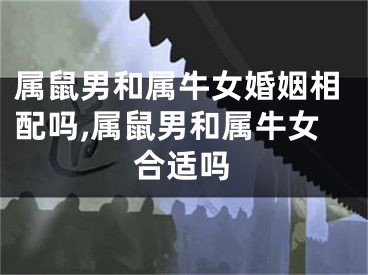 属鼠男和属牛女婚姻相配吗,属鼠男和属牛女合适吗