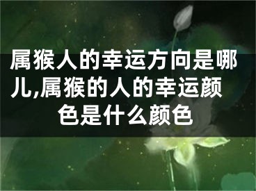 属猴人的幸运方向是哪儿,属猴的人的幸运颜色是什么颜色