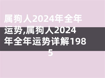 属狗人2024年全年运势,属狗人2024年全年运势详解1985