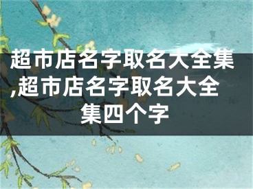 超市店名字取名大全集,超市店名字取名大全集四个字