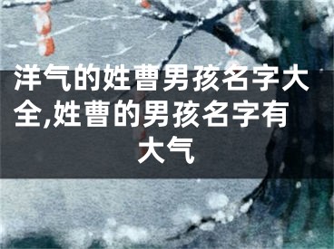 洋气的姓曹男孩名字大全,姓曹的男孩名字有大气