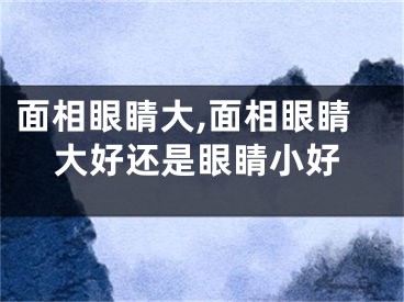 面相眼睛大,面相眼睛大好还是眼睛小好