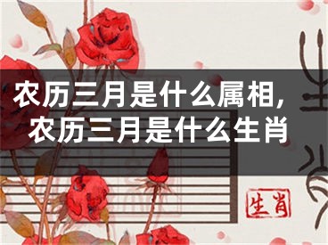 农历三月是什么属相,农历三月是什么生肖